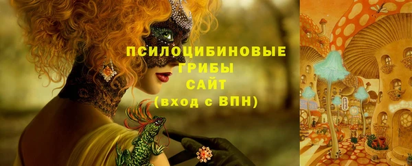 ПСИЛОЦИБИНОВЫЕ ГРИБЫ Аркадак