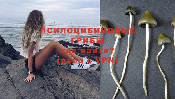 ПСИЛОЦИБИНОВЫЕ ГРИБЫ Аркадак