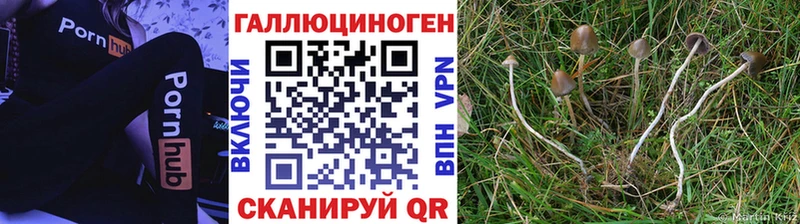 mega ТОР  Урай  Галлюциногенные грибы прущие грибы 